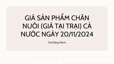 Giá sản phẩm chăn nuôi (giá tại trại) cả nước ngày 20/11/2024